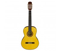 ARIA A-30S N Классическая гитара