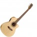 NORMAN 033126 - Encore B20 CW Folk EQ Акустическая гитара