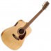 NORMAN 027415 - Encore B20 HG Presys Акустическая гитара