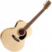 NORMAN 033164 - Encore B20 Mini Jumbo Presys Акустическая гитара