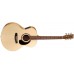 NORMAN 033164 - Encore B20 Mini Jumbo Presys Акустическая гитара