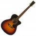 SX 1OM160CE/VS Акустическая гитара