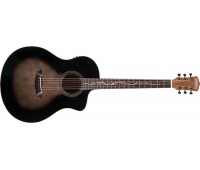 WASHBURN VITE S9V Акустическая гитара