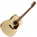 NORMAN 027439 - Encore B20 6 Presys Акустическая гитара