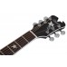 SCHECTER RS-1000 STAGE ACOUSTIC Акустическая гитара