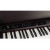 KORG C1 AIR-BR Цифровое пианино
