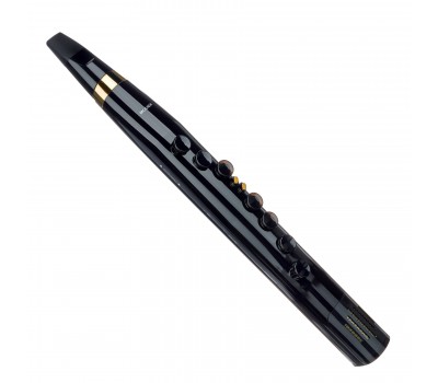 MOOER Wind Instrument 100 Black Духовой инструмент цифровой, в стиле блок-флейты