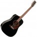 NORMAN 027484 - Encore B20 HG Black Presys Акустическая гитара