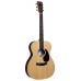 MARTIN 1100013E Акустическая гитара