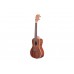 KALA MAHOGANY CONCERT GLOSS UKULELE Укулеле