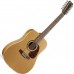 NORMAN 021109 - Protege B18 12 Cedar Акустическая гитара