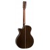 MARTIN GPC28E Акустическая гитара