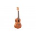 KALA MAHOGANY CONCERT UKULELE NO BINDING Укулеле