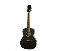 ARIA AFN-15-58 BK Акустическая гитара