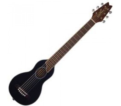 WASHBURN RO10SK Акустическая гитара