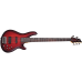 SCHECTER C-5 CUSTOM TCS Бас-гитара