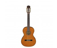ARIA A-20-58 N Классическая гитара