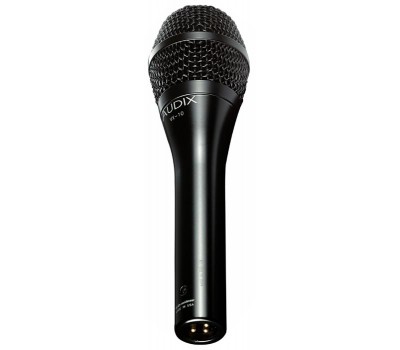 AUDIX VX10 Микрофон вокальный от AUDIX