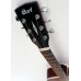 CORT SFX-MEM OP Акустическая гитара